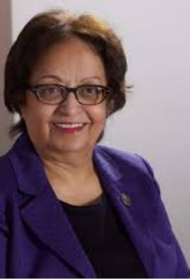 Prof. Manar Fayyad.png