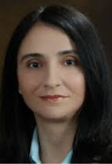 Professor Dr. Tahrir Hamdi.png